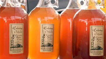 氣泡型酒精飲料檸檬堂 日本啤酒業的新勁敵與酒精飲料市場變革